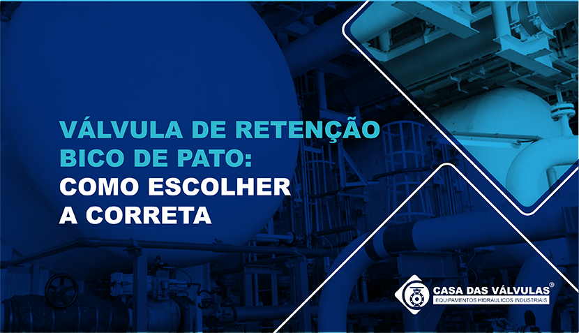 Válvula de retenção bico de pato: como escolher a correta
